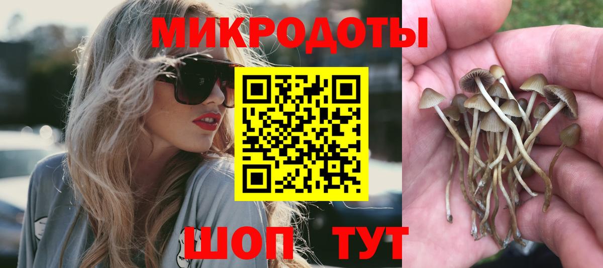 Красноармейск  Галлюциногенные грибы GOLDEN TEACHER  Вход с VPN 